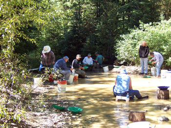 picture of miners panning